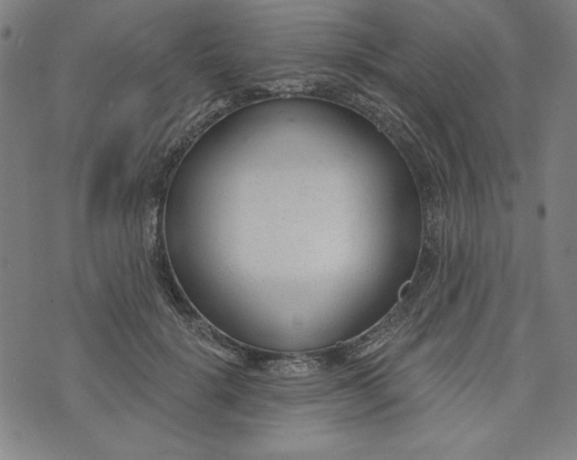 X0000073990652200609111534