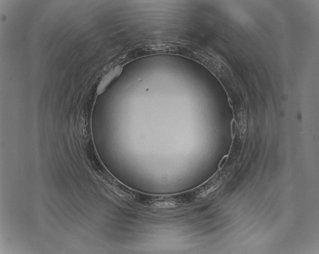 X0000073990653200609111534