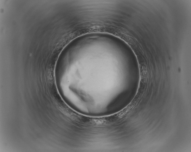 X0000073990654200609111534