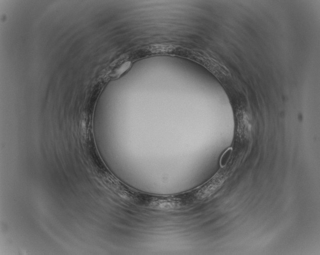 X0000073990655200609111534