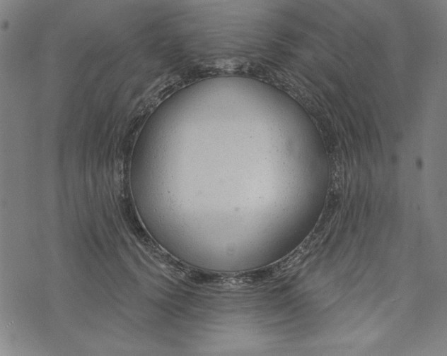 X0000073990656200609111534