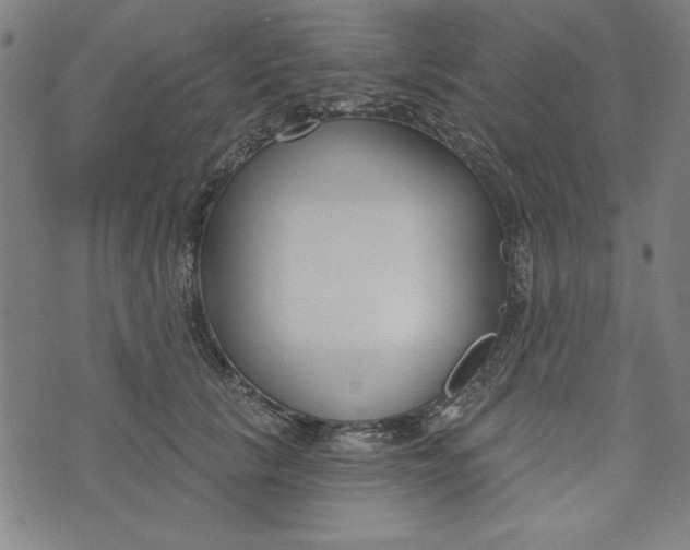 X0000073990657200609111534