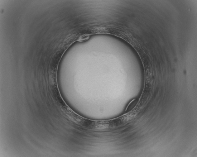 X0000073990658200609111534