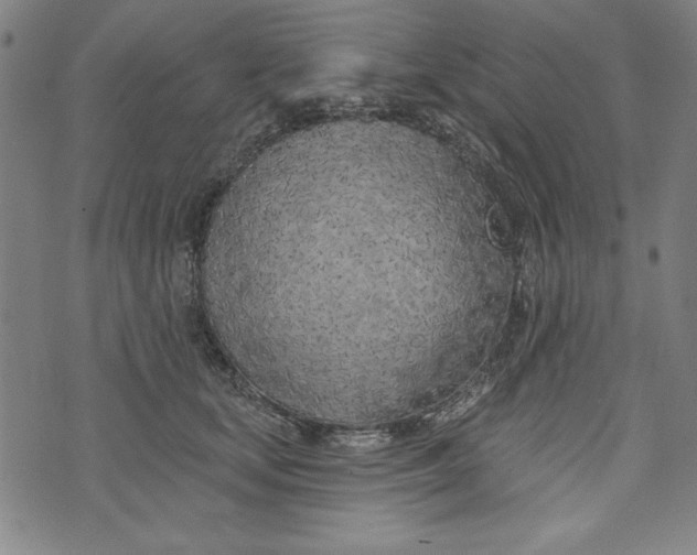 X0000073990659200609111534