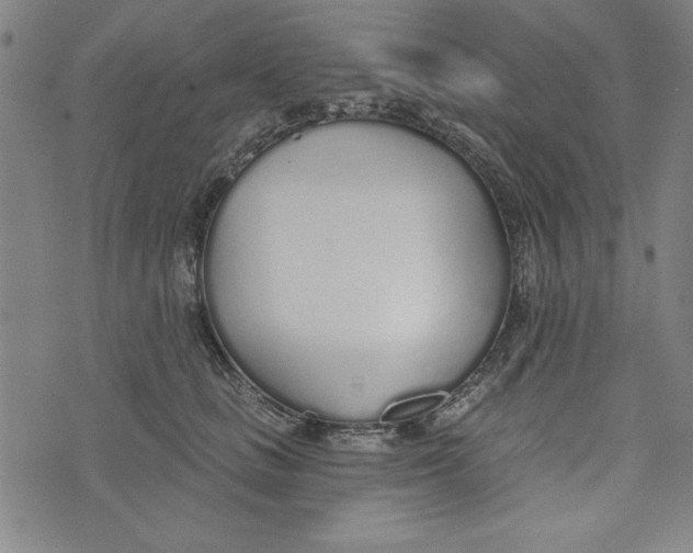 X0000073990661200609111534