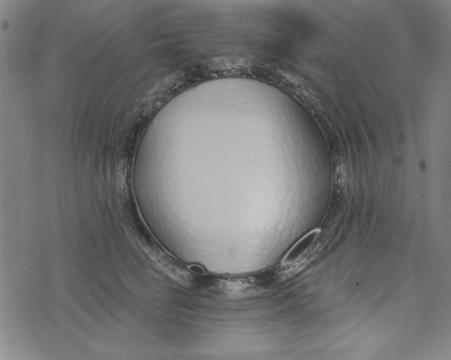 X0000073990662200609111534