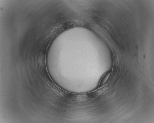 X0000073990663200609111534