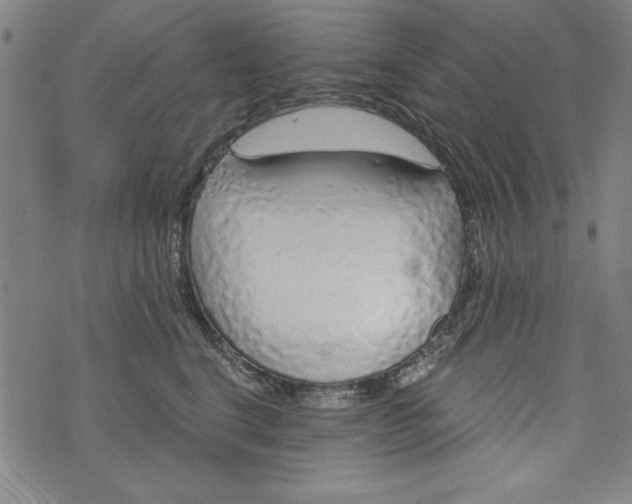 X0000073990664200609111534