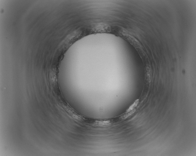 X0000073990665200609111534