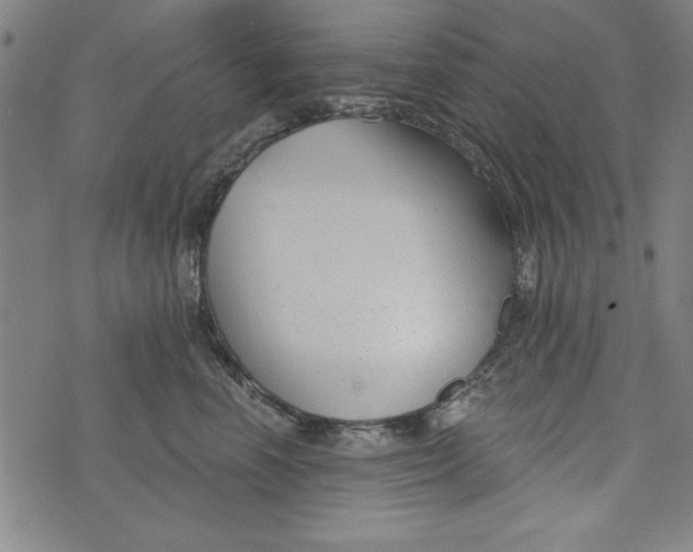 X0000073990666200609111534