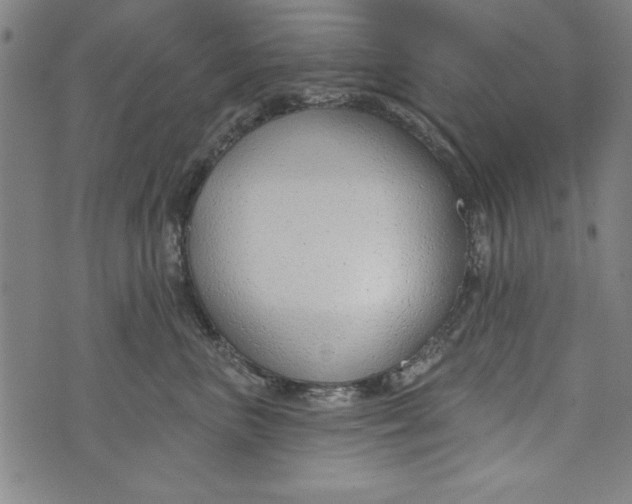 X0000073990667200609111534