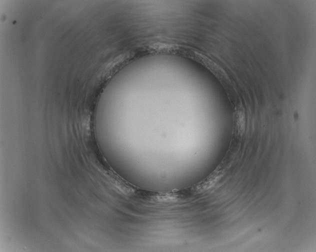 X0000073990668200609111534