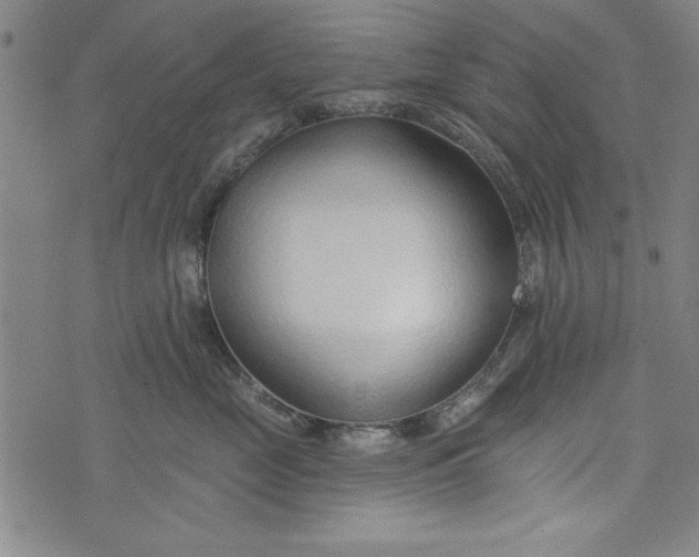 X0000073990669200609111534