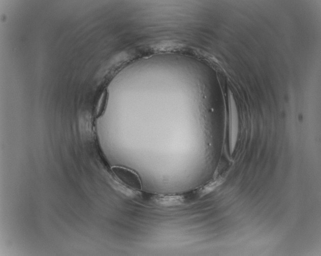 X0000073990670200609111534