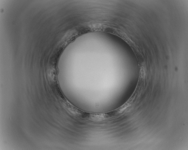 X0000073990671200609111534