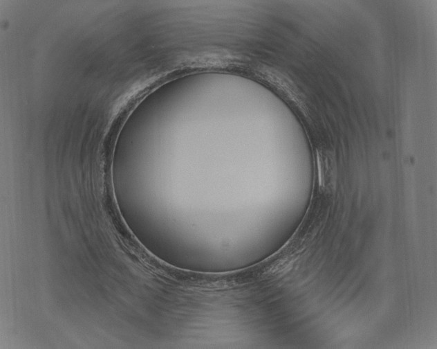 X0000073990675200609111534