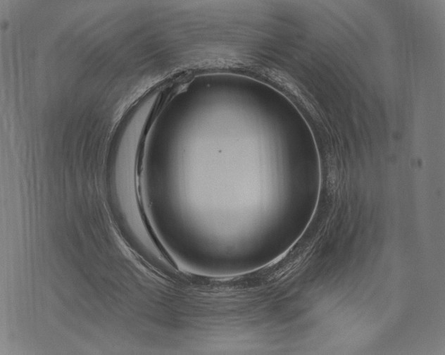 X0000073990677200609111534