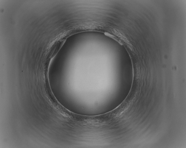 X0000073990681200609111534