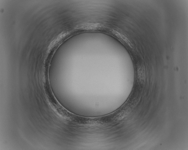 X0000073990682200609111534