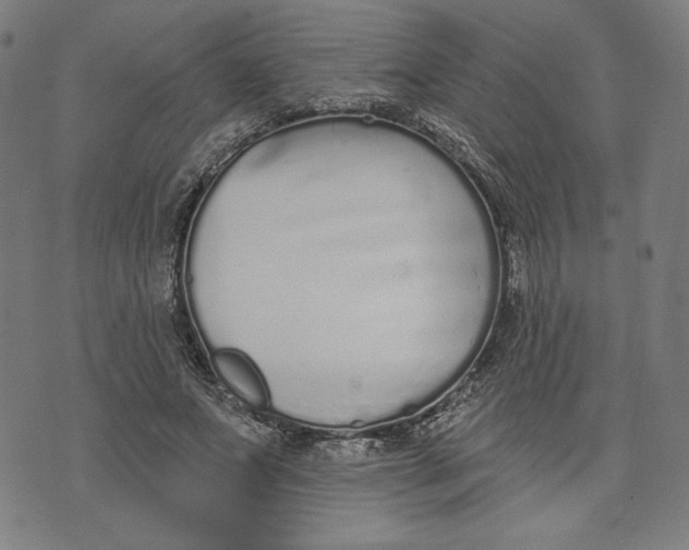 X0000073990687200609111533