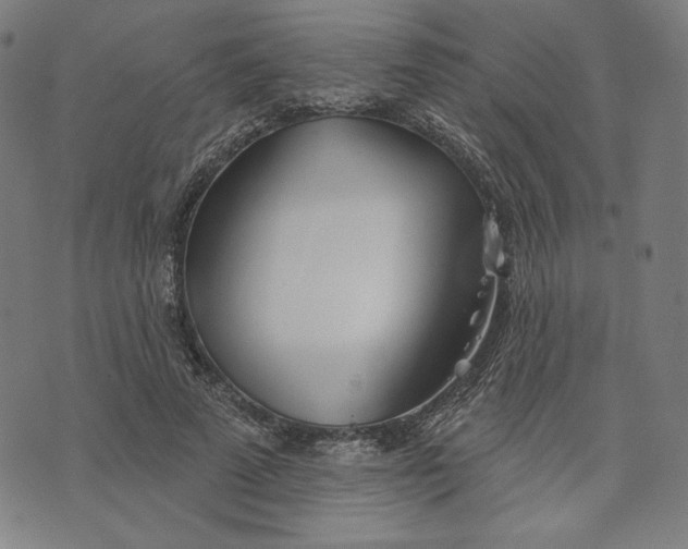 X0000073990689200609111533