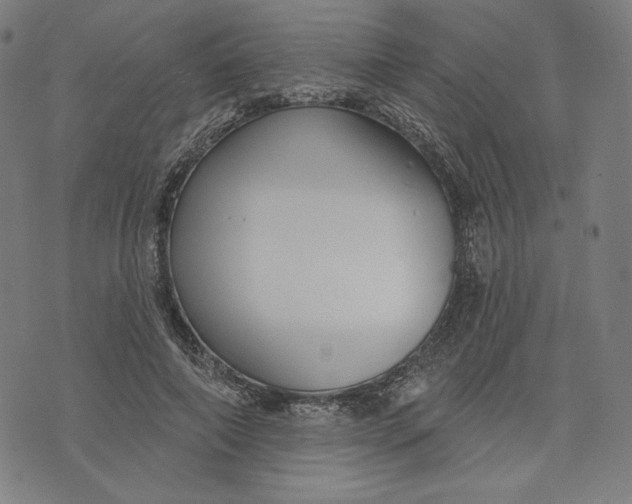 X0000073990690200609111533