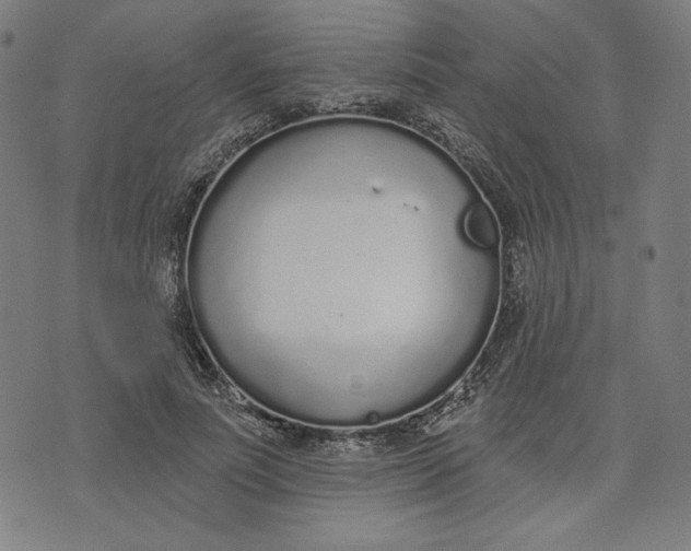 X0000073990691200609111533