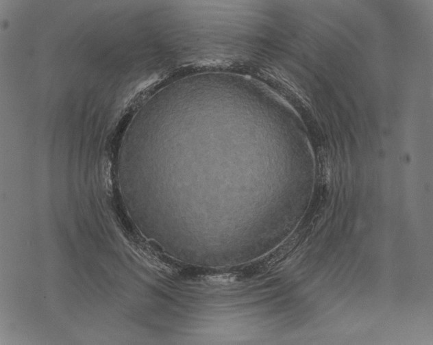 X0000073990692200609111533