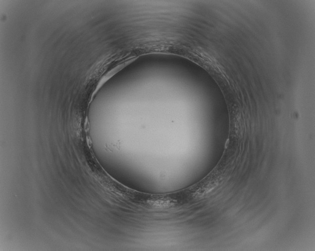 X0000073990693200609111533