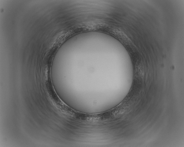 X0000073990694200609111533