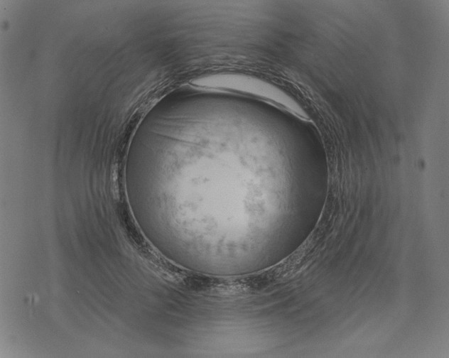 X0000073990696200609111533