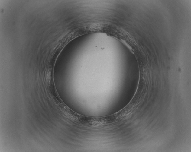 X0000073990697200609111533