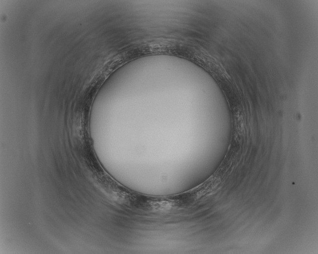 X0000073990698200609111533