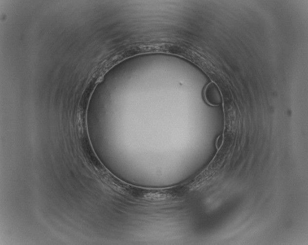 X0000073990699200609111533