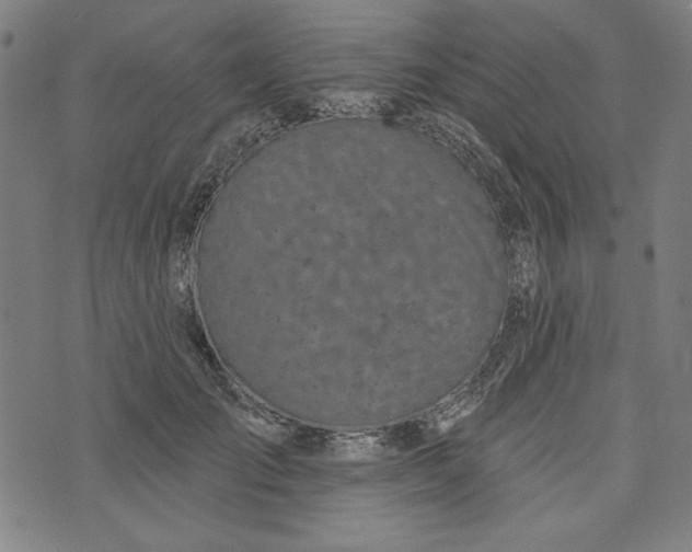 X0000073990701200609111533