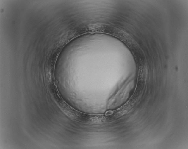 X0000073990703200609111533