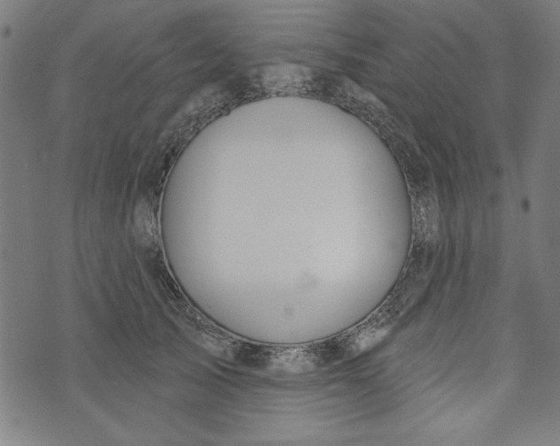 X0000073990705200609111533