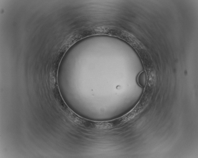 X0000073990707200609111533