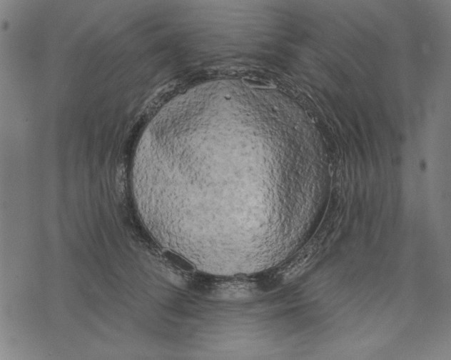 X0000073990708200609111533