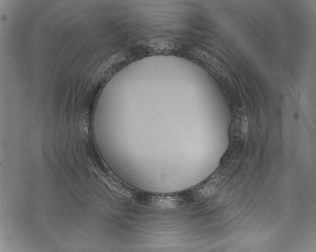 X0000073990710200609111533