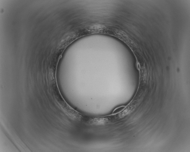 X0000073990711200609111533