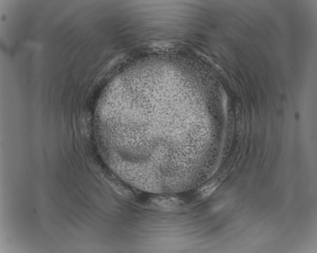 X0000073990712200609111533