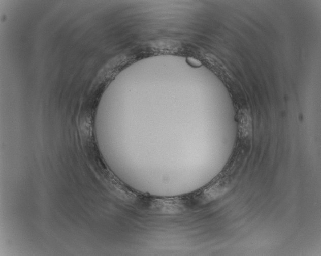 X0000073990713200609111533