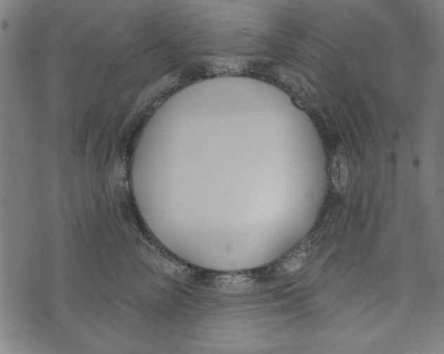 X0000073990714200609111533