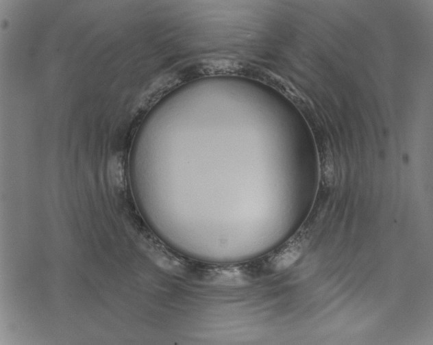 X0000073990715200609111533