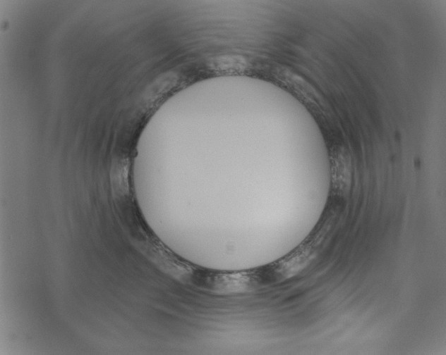 X0000073990717200609111533