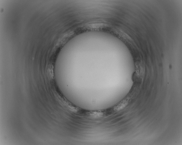 X0000073990718200609111533