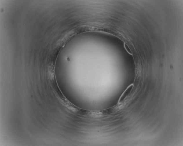 X0000073990719200609111533