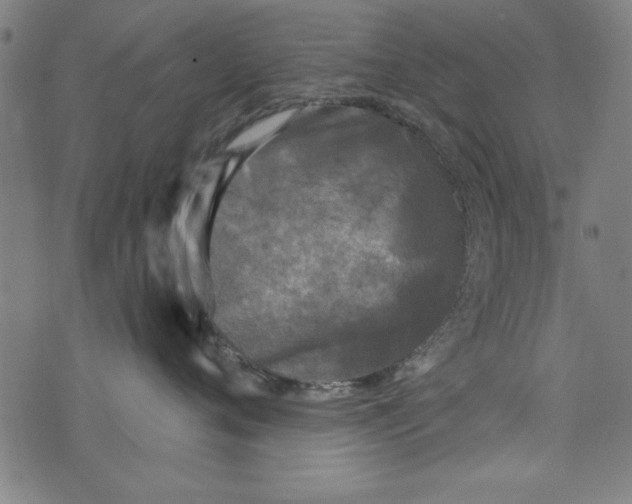 X0000073990720200609111533