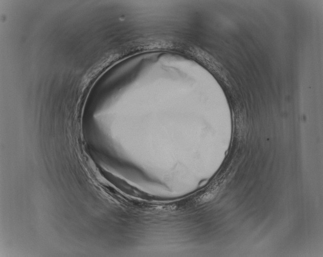 X0000073990721200609111532